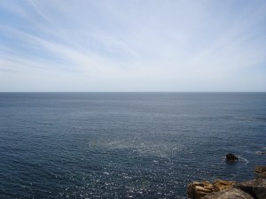 DSC05933