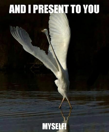 Meme announcing myself