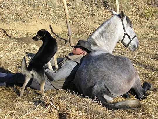 horse