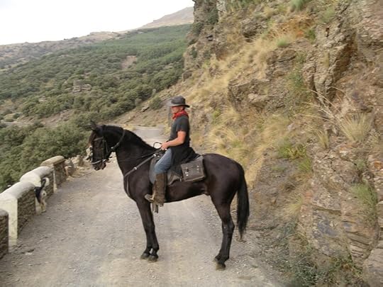 horse2