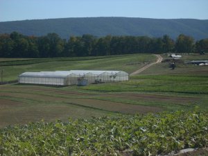 Farm Open House 2010