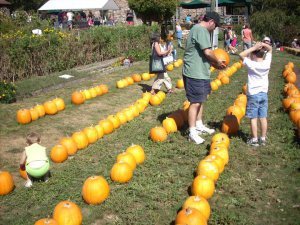 Farm Open House 2010