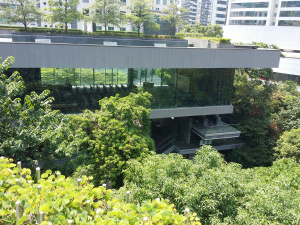 20150809_140527