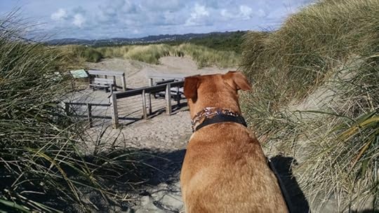 IMG_20150903_164207601[1]