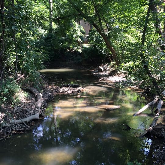 Wildwood Park1