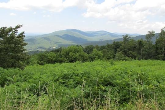 Shenandoah National Park landscape