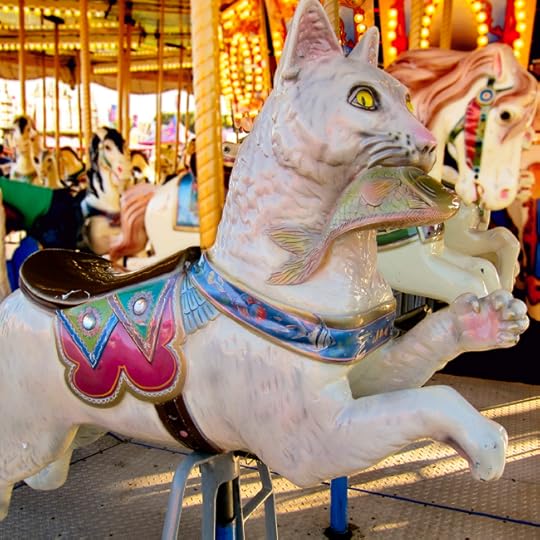carousel cat web