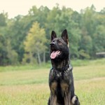 IMG_0162