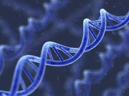 The genius of DNA.