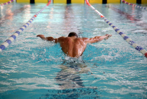 Swimmer in the swimming pool