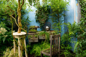 Photo credit Adrian Jones