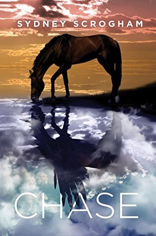 Sydney's Book Cover Chase