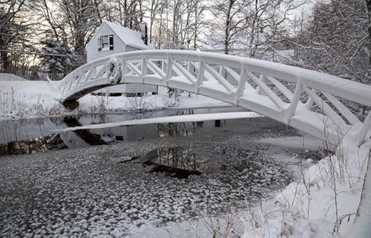 Image and video hosting by TinyPic