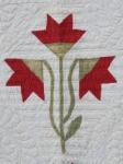 CarolinaLily