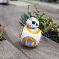 BB-8 Toy Rolling in Garden