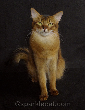 I don't know if modeling counts as enrichment