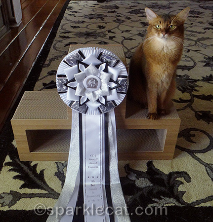 I could use this thing as a cat bed!