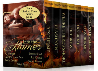 IntoTheFlames_Kindle_3d_sale