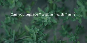When can you replace “within” with “in”?
