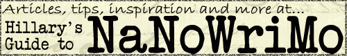 nanowrimo_forumbanner