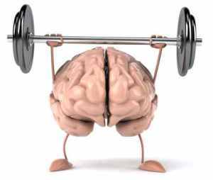 brain-2