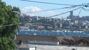 Funny, I don't even notice the power lines when I look at the view from my deck.