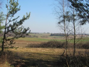 The Polish countryside