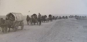 Wagons leaving Hoffnungstal (Source: Hoffnungstal: Bilder einer deutschen Siedlung in Bessarabien)