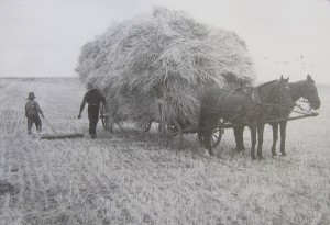 (Source: Hoffnungstal: Bilder einer eutschen Siedlung in Bessarabien)
