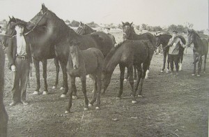 Source: Hoffnungstal: Bilder einer deutschen Siedlung in Bessarabien