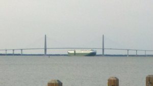 230305_1848087653696_328991_n