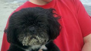 297140_2238235047137_1927667327_n