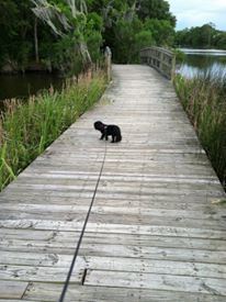 550700_3631622120943_2073138535_n