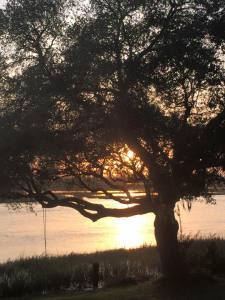 11147871_10205578068442812_7594607949738871469_n