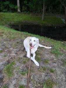 11212764_10205526457712576_2462690474393078759_n