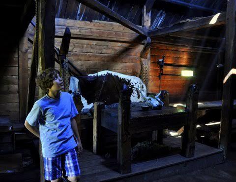 viking village