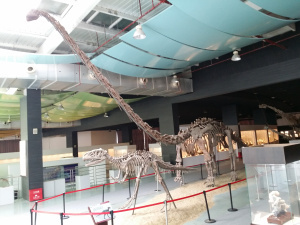 wpid-20150901_104246.jpg