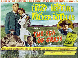 seaofgrass