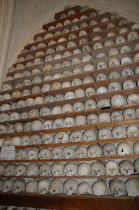 some of the many skulls, neatly arranged