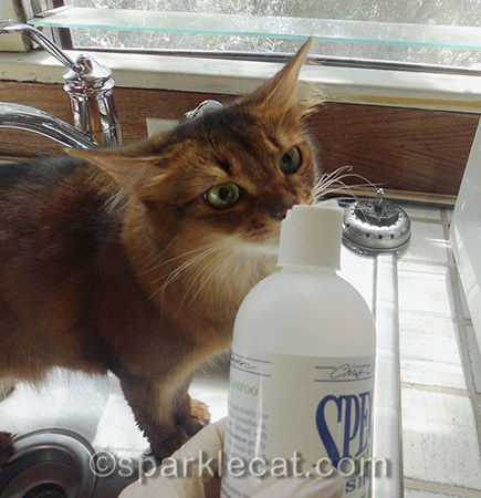 I'm glad butt baths don't require the two shampoos, three rinses and conditioner
