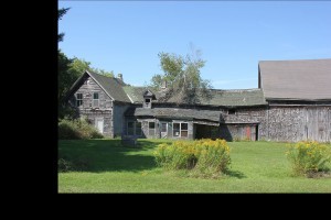 One of many abandoned houses, it still has character and I wonder why it is unloved
