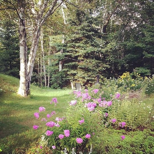 My new ground #nature #summer
