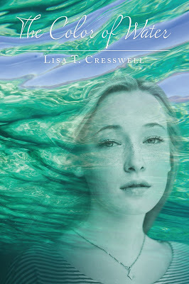 the color of water cover