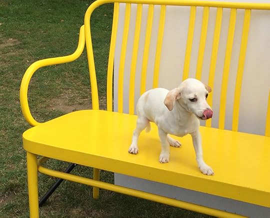 Trip Fontaine LICK Photoshoot