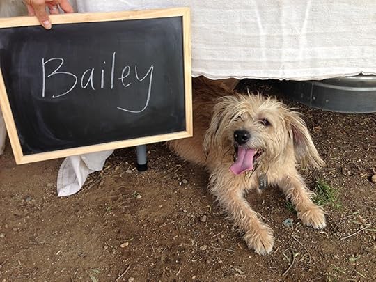 Bailey LICK Photoshoot