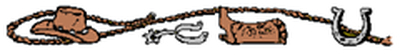 cccowboy gear divider_thumb[1]