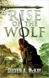 robin hood novels
