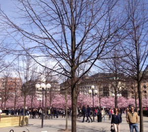 Promenad genom Kungsan, på väg till ett möte.