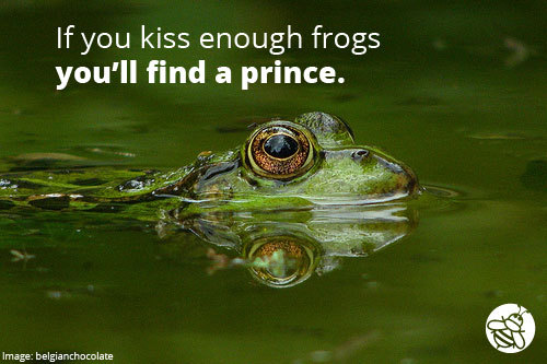 SBQ-KissFrogs
