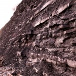 Jane Austen Fossil Ring, Mary Anning, and Kelly Clarkson